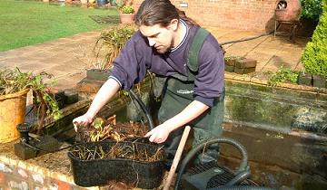 Onderhoud van waterplanten